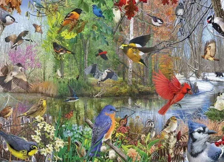 Cobble Hill Animals & Wildlife* - Birds Of The Season - 1000 Piece Jigsaw Puzzle