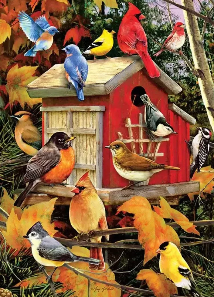 Cobble Hill Animals & Wildlife* - Fall Birds - 1000 Piece Jigsaw Puzzle