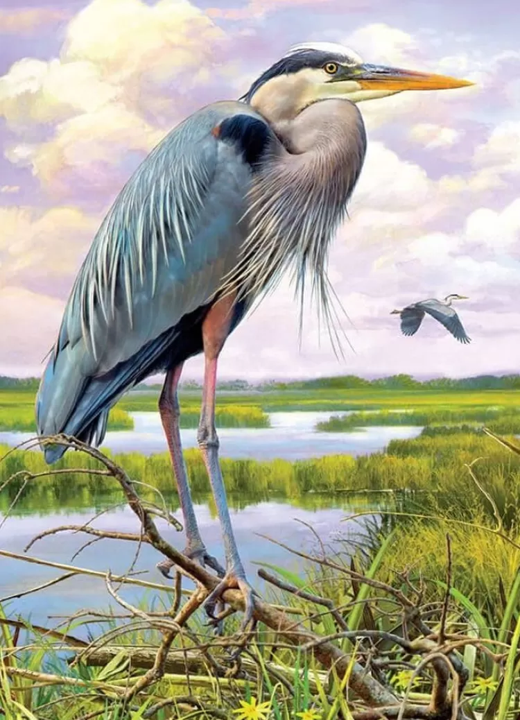 Cobble Hill Animals & Wildlife* - Heron - 1000 Piece Jigsaw Puzzle