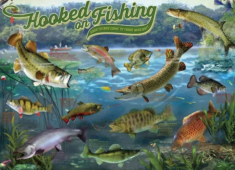 Cobble Hill Pastimes* - Hooked On Fishing - 1000 Piece Jigsaw Puzzle