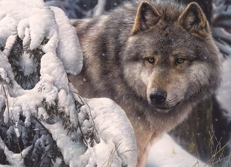 Cobble Hill Animals & Wildlife* - Master Of The North - 1000 Piece Jigsaw Puzzle