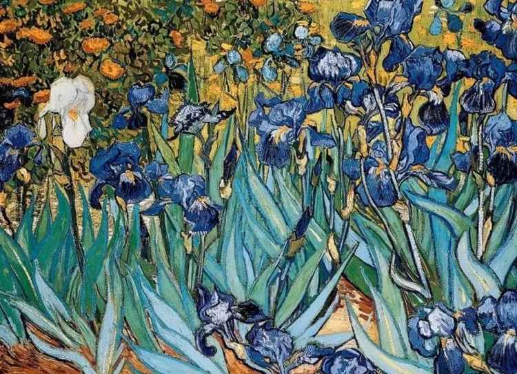 Eurographics Art* - Irises Vincent Van Gogh - 1000 Piece Jigsaw Puzzle