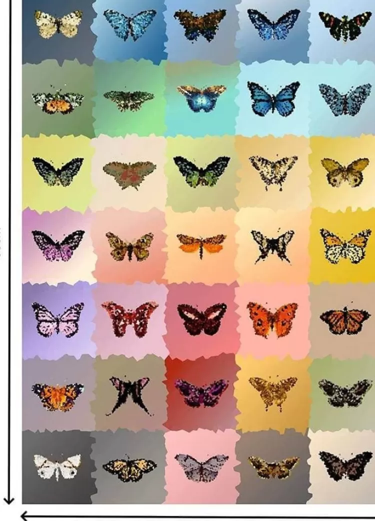 Gorgeous Games Challenging* - Butterflies - 1000 Piece Jigsaw Puzzle