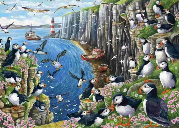 Otter House Locations & Buildings* - Clifftop View - 1000 Piece Jigsaw Puzzle