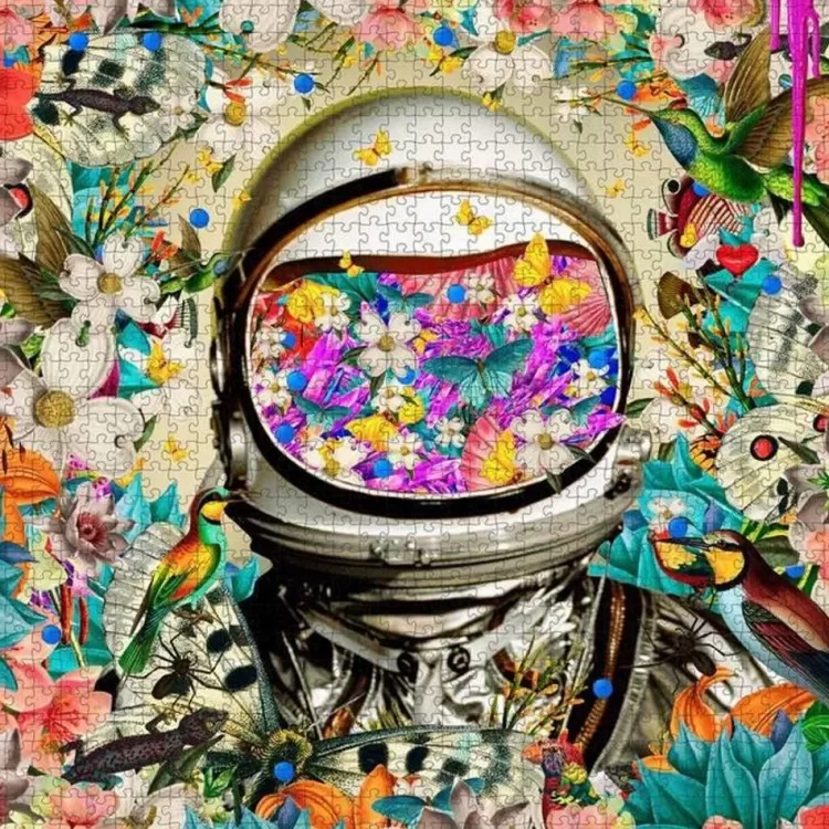 Pomegranate Art* - David Krovblit - Astronaut - 1000 Piece Jigsaw Puzzle