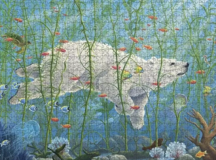 Pomegranate Art* - Robert Bissell - The Buffalo 1000 Piece