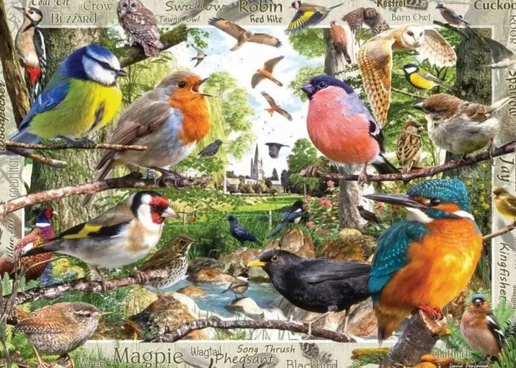 Ravensburger Animals & Wildlife* - Our Feathered Friend - 1000 Piece Jigsaw Puzzle