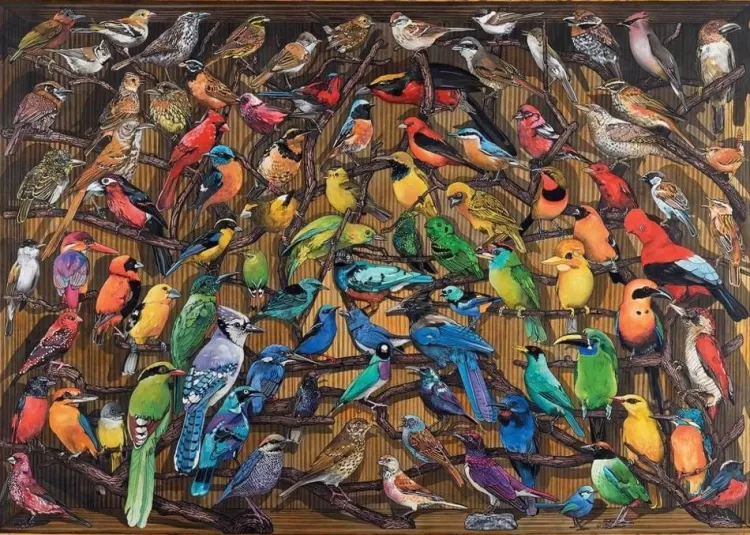 Ravensburger Animals & Wildlife* - Rainbow Of Birds - 1000 Piece Jigsaw Puzzle